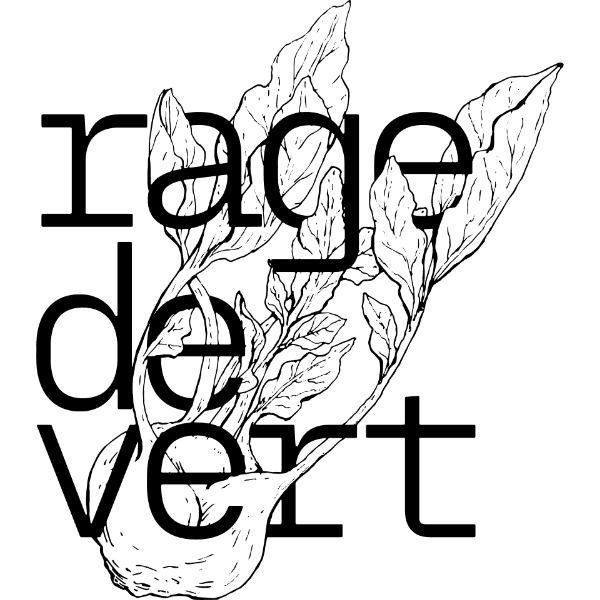 CSA Admin logo